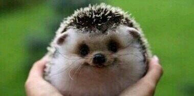 Meli Malpica (@MeliMalpica) / Posts / X