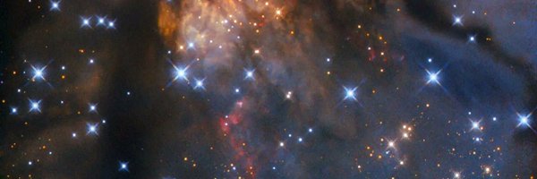 NerguiSN Profile Banner