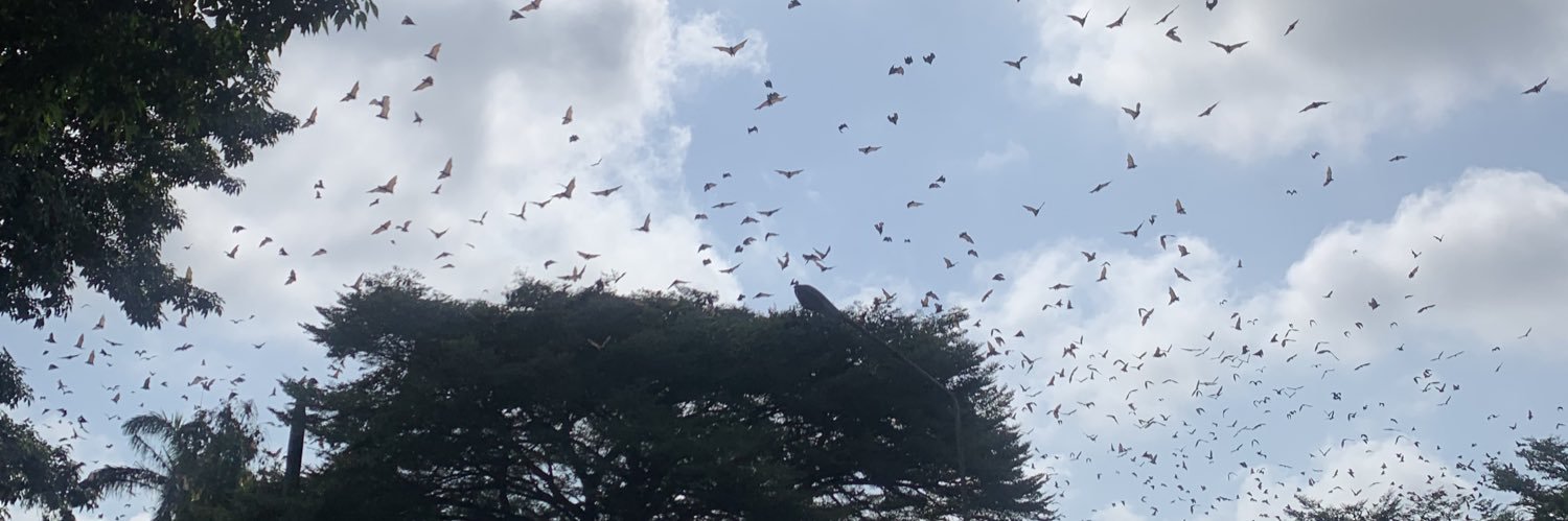 Ada is a girl💗 banner