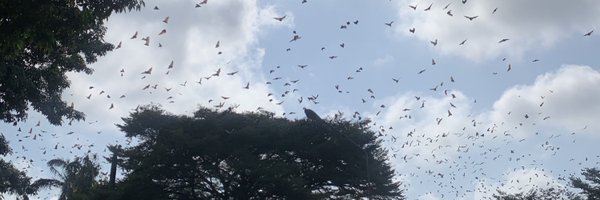 faveda12 Profile Banner