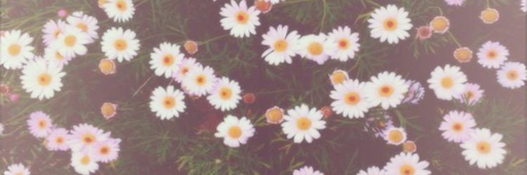 _EmmaGalbraith's profile banner image