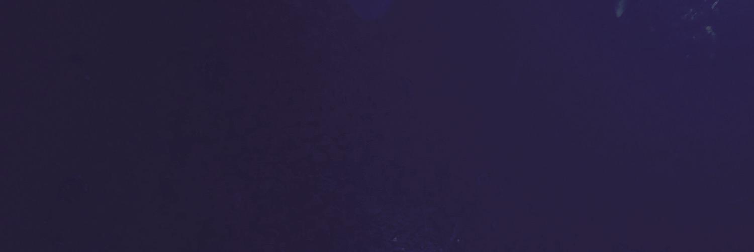 bozkai's profile banner image