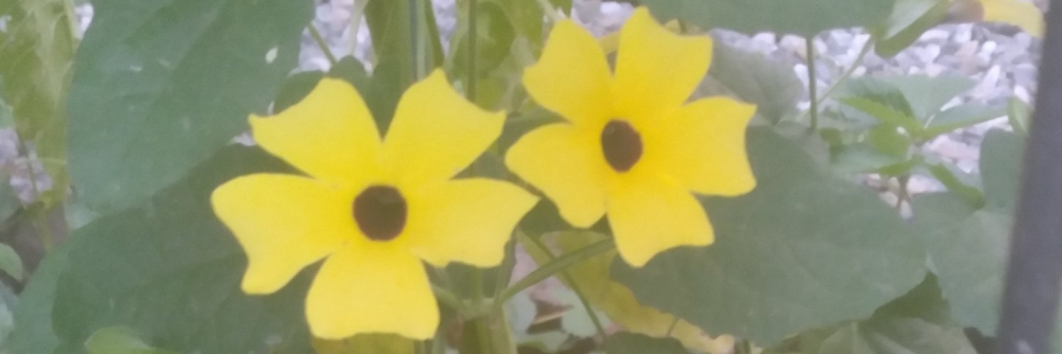 ThatBitch55570's profile banner image