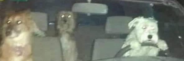 PRIEST☘️💨 banner