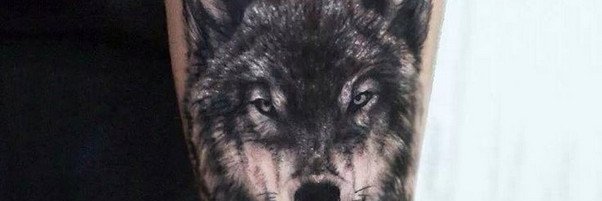 SFMaluma's profile banner image