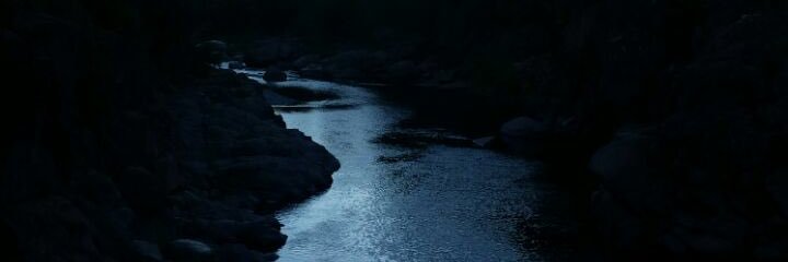 francisco cox banner