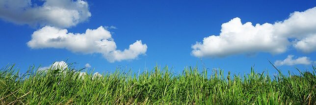 dehaan_l's profile banner image