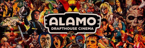 AlamoNaples Profile Banner