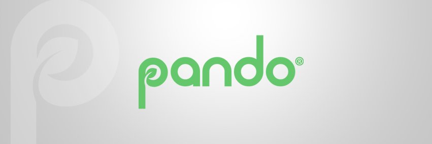 SocialPando banner