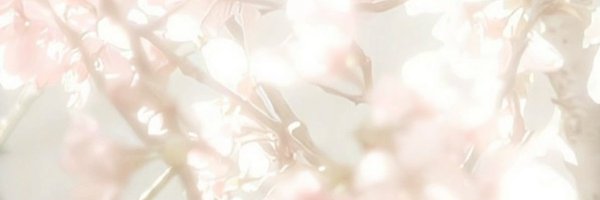 NIC0SA Profile Banner
