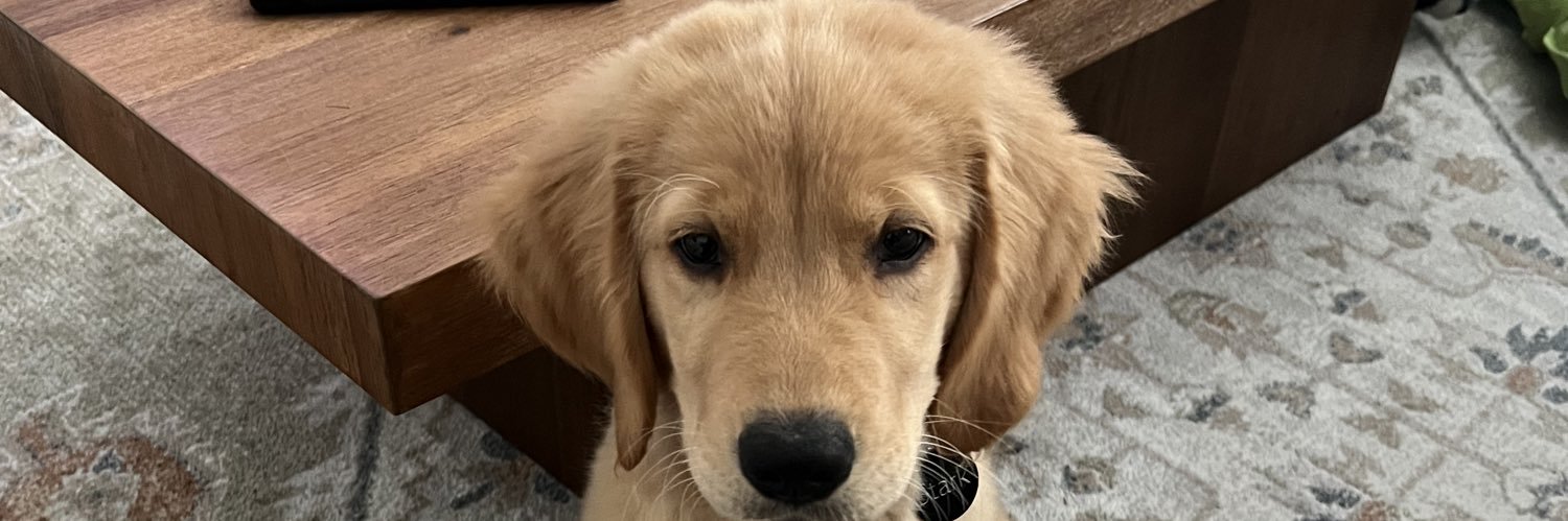 ColtLitsey's profile banner image