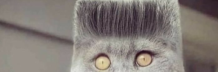 gassyaidsboy4's profile banner image