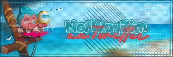 NotWayZim Profile Banner