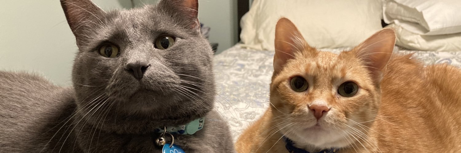 Patti LuPone’s Marionette banner