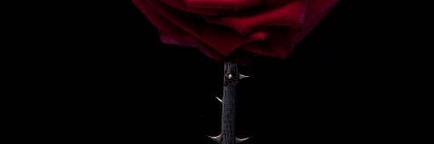 iexodolla's profile banner image