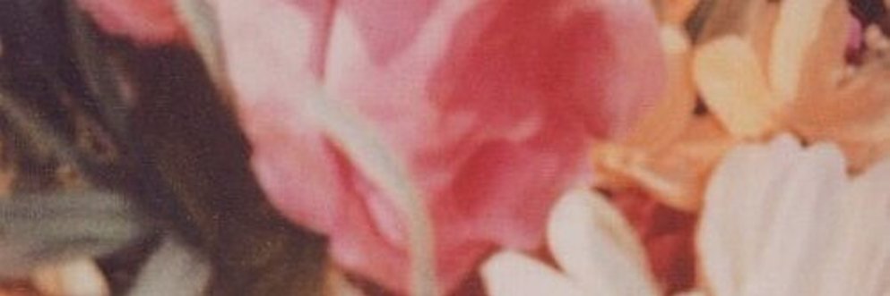 ♪﹒ 🍓﹒ /yeritos ⌆ banner