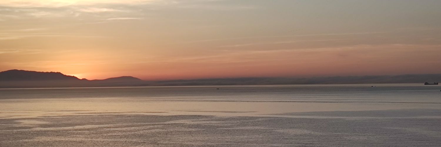 1DaveyMo's profile banner image