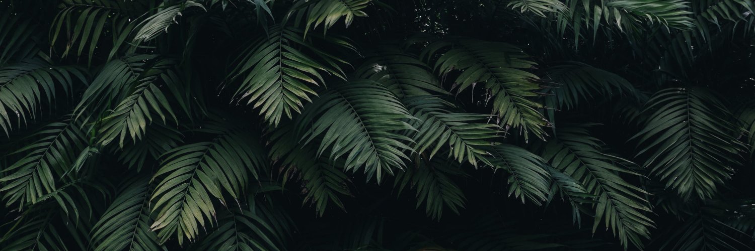 RafaReflects's profile banner image
