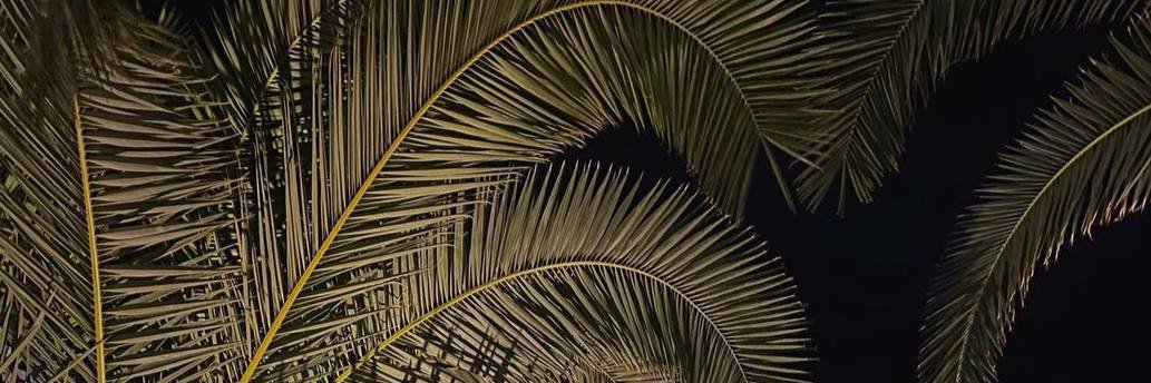 macky_de_leon's profile banner image