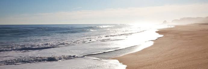 srwr467556's profile banner image