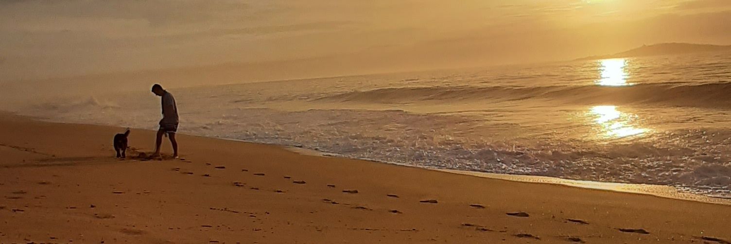 Felipe Augusto banner