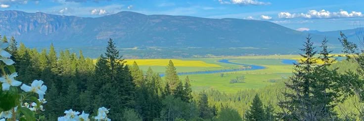 skyyy `` gyum gyum banner