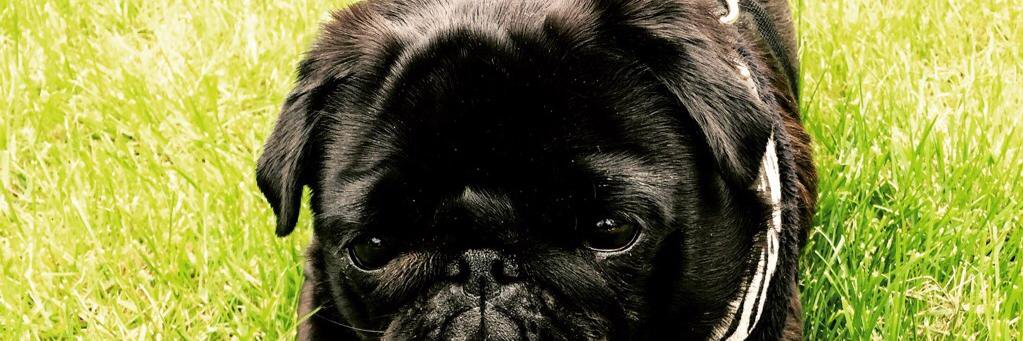 seatorspeaks's profile banner image