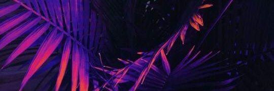 katyaeditth's profile banner image