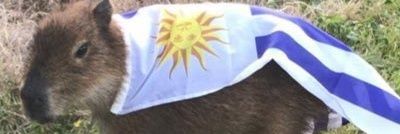 r4tanas's profile banner image