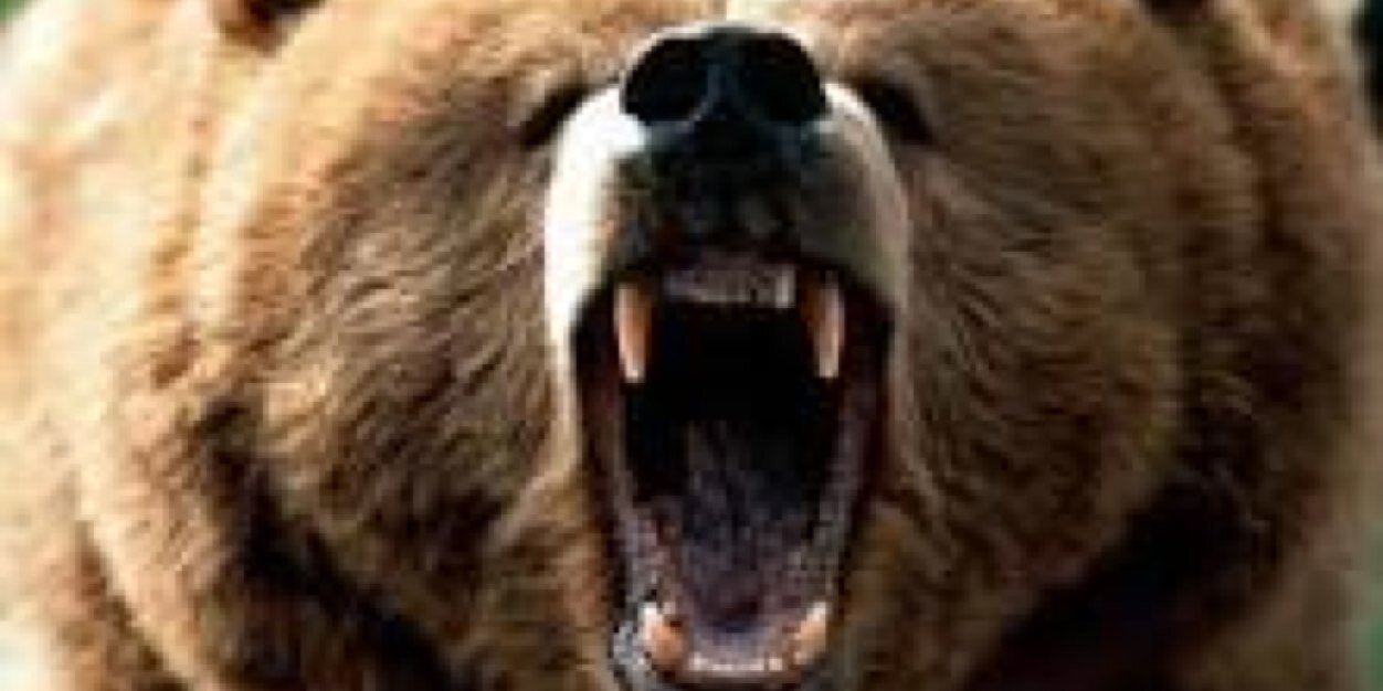 GTABears's profile banner image
