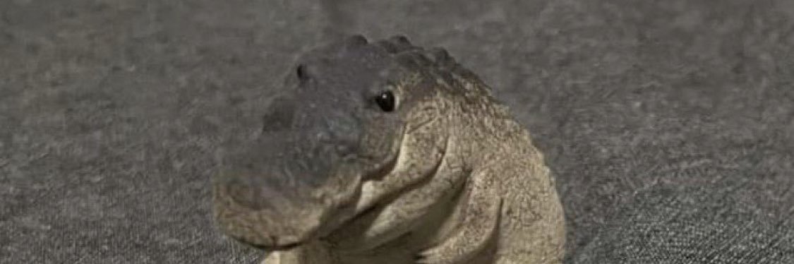 Liwizard/ Comms Open (0/5) banner