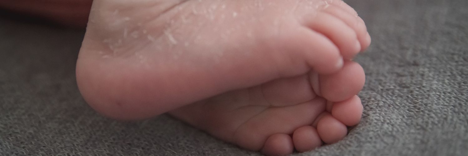 Roreynosoj's profile banner image