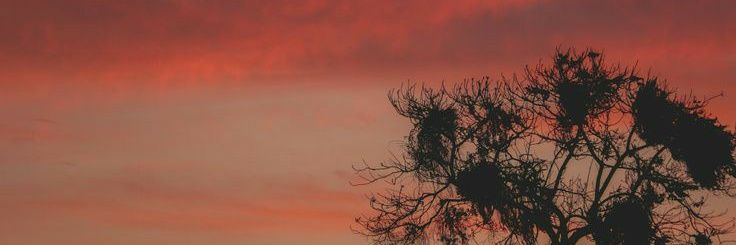PaC0_03's profile banner image