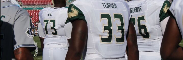 Tye Turner banner