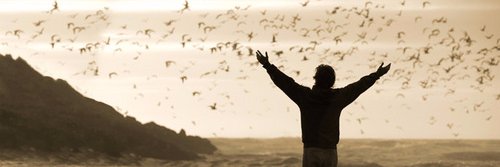 Ricardo Nunes banner