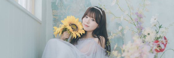 setohimaridayo Profile Banner