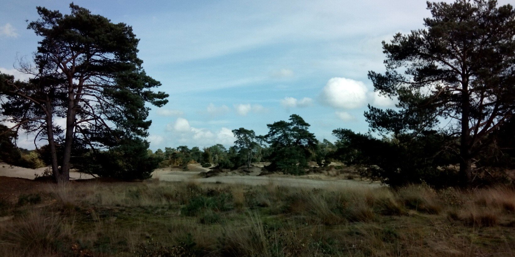 Bart Karelsen banner