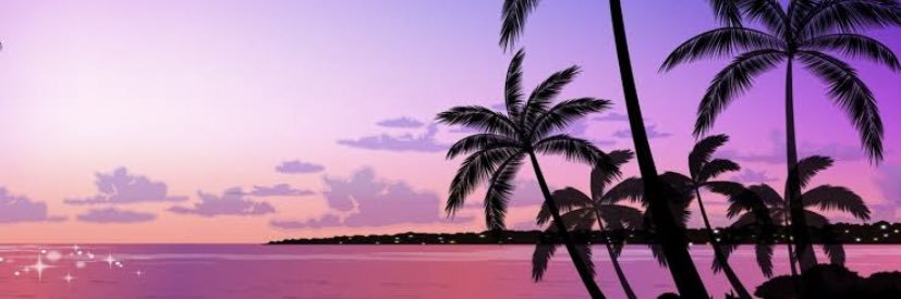 liz_ballesteros's profile banner image