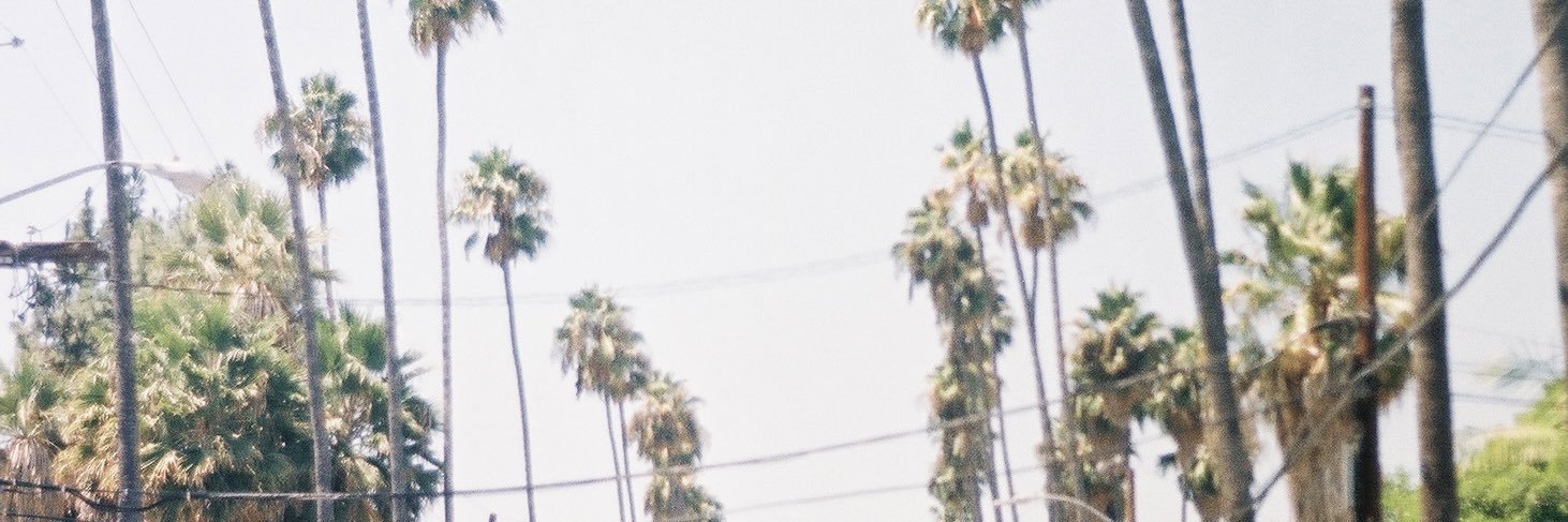 tamaradaniellex's profile banner image