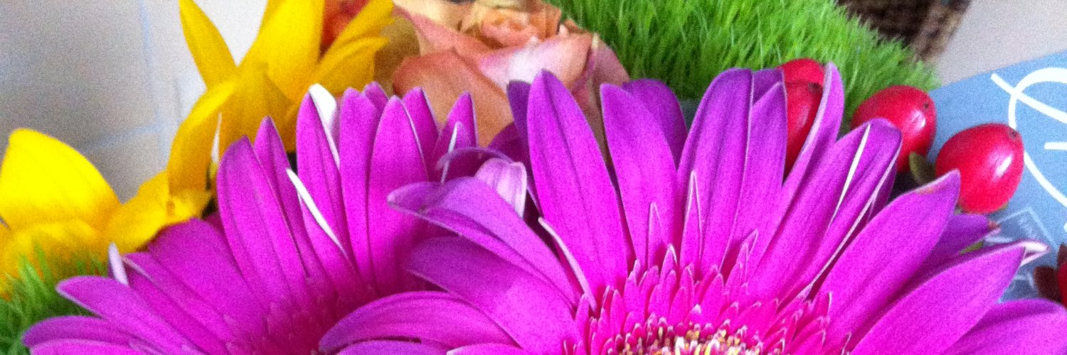 mopan's profile banner image