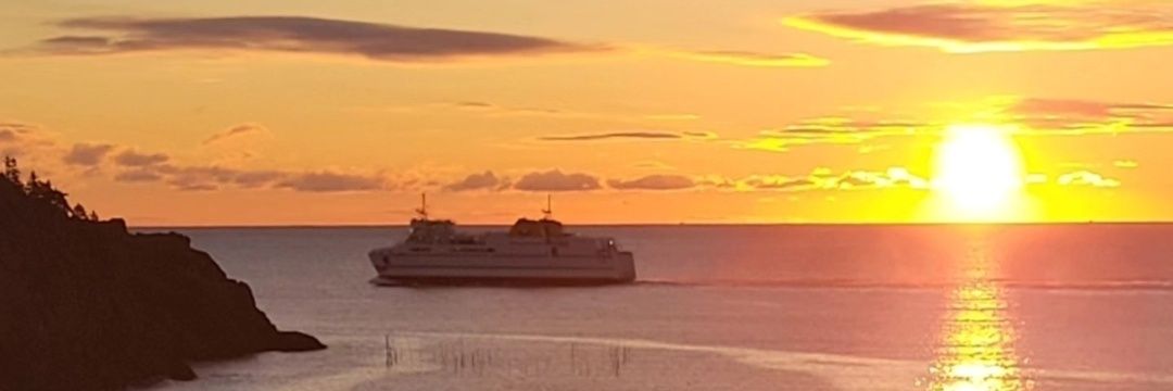 ShawnTheTrail 🇨🇦🐢 banner