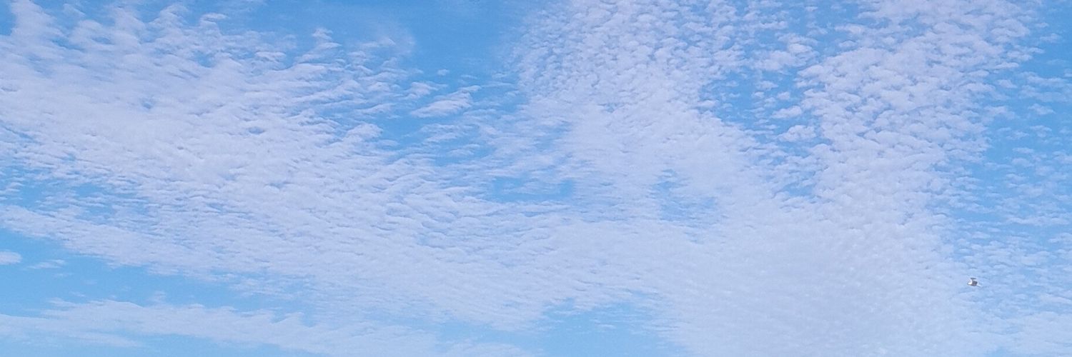 _KatherinF's profile banner image
