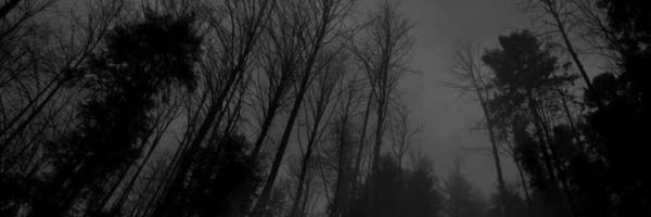 gaboovic Profile Banner