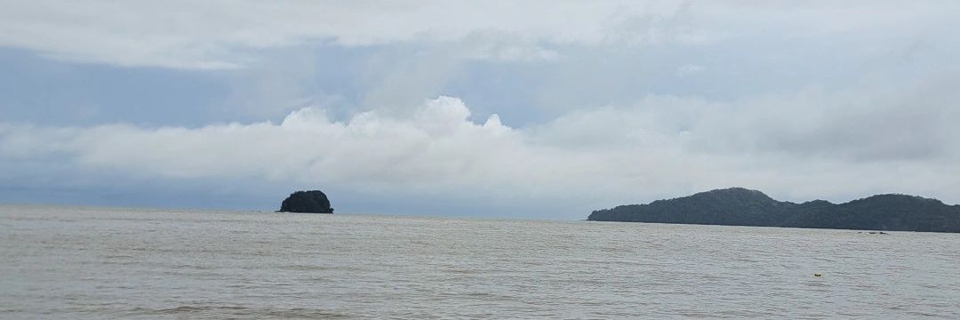 William Villarreal banner