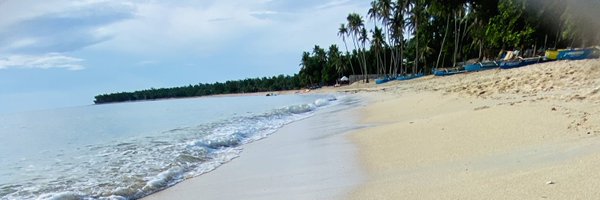 DustBellArmy Profile Banner