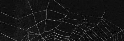 ps2quality's profile banner image