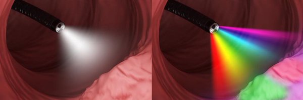 Bohndiek_Lab Profile Banner