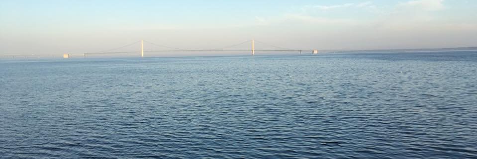 Matt Frendewey banner