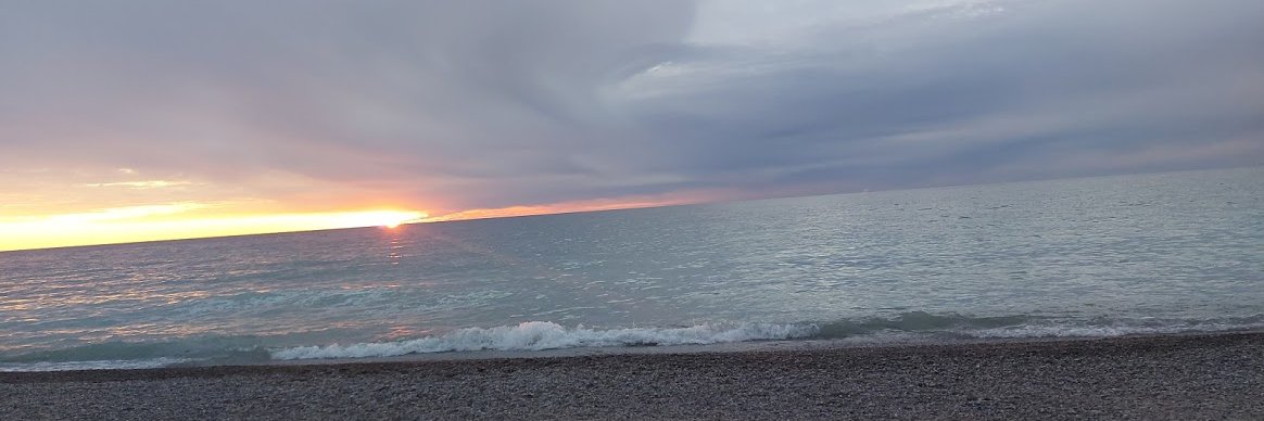 Jacqueline Potvin banner