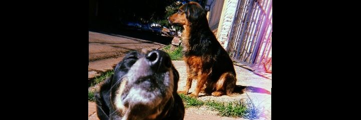 Agusdanocibar's profile banner image